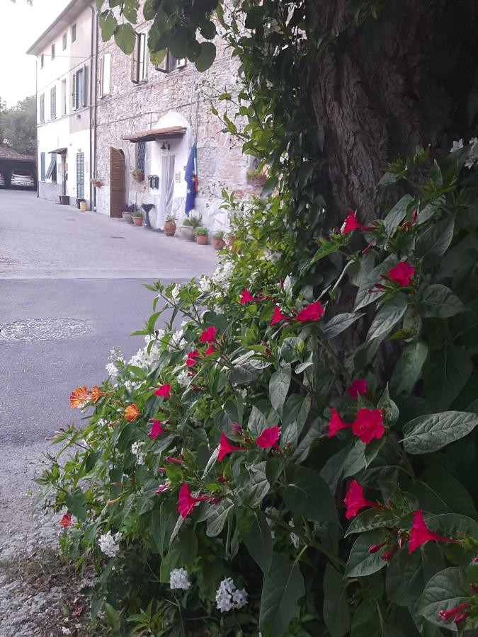 B&B A Casa Mia Pisa Exterior foto